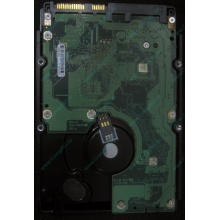 HP 454228-001 146Gb 15k SAS HDD (Ессентуки)
