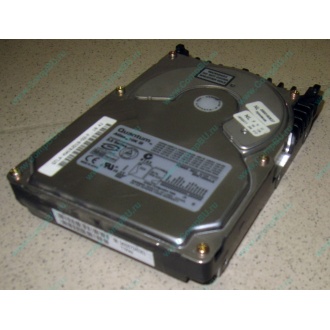 Жесткий диск 18.4Gb Quantum Atlas 10K III U160 SCSI (Ессентуки)