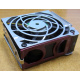 HP 224977 (224978-001) for Proliant ML370 G2/G3/G4 (Ессентуки).