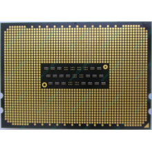 AMD Opteron 6128 OS6128WKT8EGO (Ессентуки)